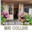 소하꽃화원 | 서울 홍대 수국 디기탈리스가 이쁜 플라워 카페 콜린 추천