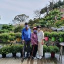 화수목 관광농원 이미지