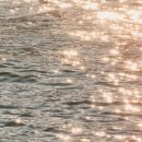 블랭크스서프 이미지