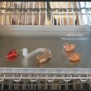 굿모닝보청기(서대전점) 이미지