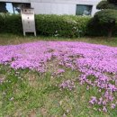 약동안양 이미지