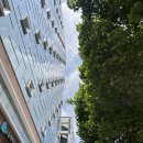 리엔케이퍼스트멤버쉽 : 강남 피부관리 하체부종관리 후기