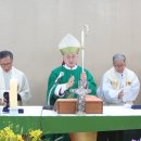 옹청박물관 이미지