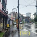 가배정인 이미지