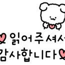 디어마이펫(DEARMYPET) 이미지