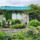 포토갤러리자연사랑미술관 네이버블로그