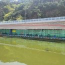 무태낚시터 이미지