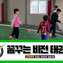 비전태권도장 이미지