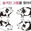 그림이 합쳐지면 어떤그림 될가요 이미지