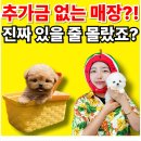 검단남로 네이버블로그