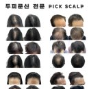 픽스칼프