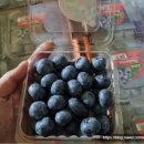 주식회사 제이앤지 이미지