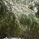 성모여자고등학교 이미지