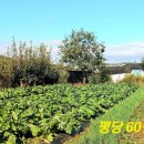 강화원공인중개사사무소 이미지