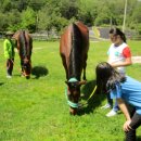 속사초등학교 이미지