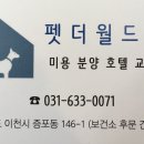 여주-0071 이미지