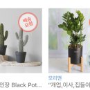 세렌디PT&Pilates 이미지