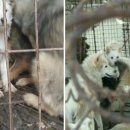 상식농장 이미지