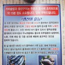 사구오공생선구이 네이버블로그