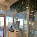 카페이노스 세종본점 이미지