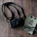 나홀로 진짜 여행 이미지