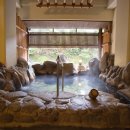 그린스테이 이미지