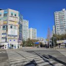 용인대 도담 태권도장 이미지