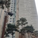 강남-206 이미지