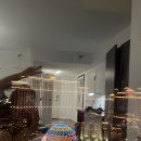 오쇼완 | 2024 미국서부 Day 10,11 - Las Vegas(오쇼 102섹션 후기, 타코맛집 추천, 브런치 sadelle's, 뉴욕뉴욕...