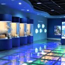 화진포 생태박물관 이미지