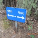 삼기 삼거리 이미지