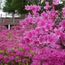 고강선사유적공원 이미지