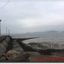 대륙물산 이미지