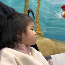 W게임존 호평점 | 용호동 뽀로로파크 방문 후기 &amp; 실속 정보 총정리...뽀로로파크 부산 W스퀘어점(feat.시설운영시간표,할인)