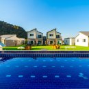 애견은 내친구 이미지