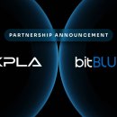 블루엔터테인먼트 이미지