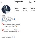 레인캔넬 | 경남울산&amp;부산 방문 애견훈련사 후기: 전문가는 확실히 다르긴 다르네요.