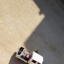 가수초등학교 이미지