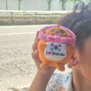 아이러브독도 | 한국이와 함께하는 독도 지키기 캠페인! 독도 강치 반려인형 자석키링으로 출국선물 &amp; 외국인 선물 완성