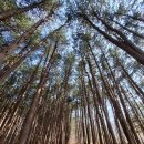 치악산둘레길 3코스 수레너미길 | 원주 여행 가볼만한곳 / 치악산둘레길 3코스(수레너미길) / 구룡사주차장~태종대 코스