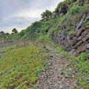 법환마을회관 | 제주 여행 관광지 올레길 7코스 - 0. 연돈 ~ 아왜낭목 / 코스 정보