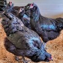 아성슈퍼 이미지