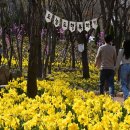 월아산자연휴양림(진주) 이미지