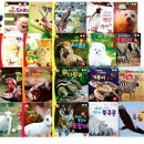 애니멀하우스 이미지