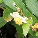 삼태리농장 이미지