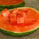 팔도종합식품 Daum카페