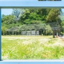 벽제관로 이미지