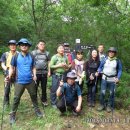 갈론사랑 이미지