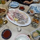 목욕하는 고양이 이미지