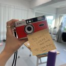 2025년도 하반기 학부모 독서모임 | [일상] 여름의 모서리, 짙어지는 녹음처럼, 어쩌면 난 생각보다 더 단단해졌을수도..